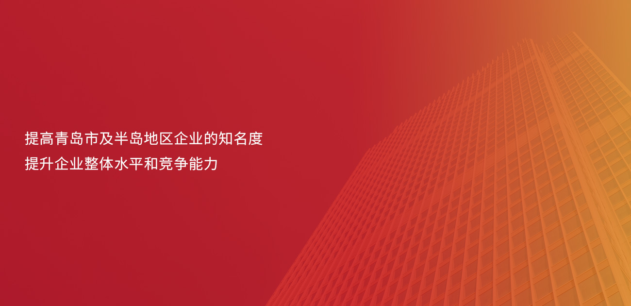 服務(wù)案例:青島企業(yè)評價協(xié)會